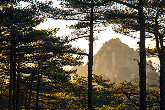 黄山风景区