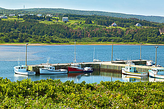 渔船,捆绑,码头,因弗内斯,布雷顿角,新斯科舍省,加拿大
