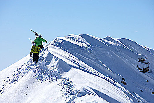 法国,阿尔卑斯山,山谷,两个,滑雪者,走,上面,下雪,山