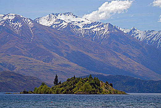 绿色,岛屿,瓦纳卡湖,积雪,背影,南岛,新西兰