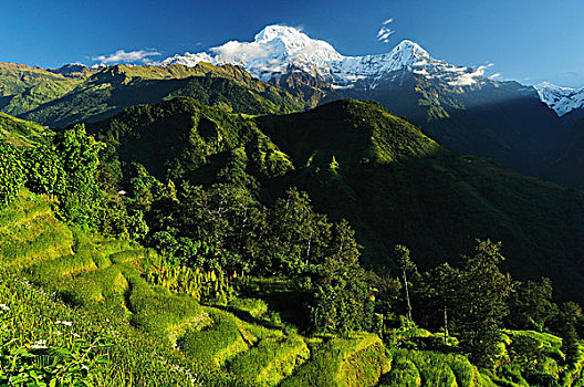 安娜普纳,南,尼泊尔