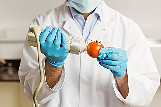 食物,科学家,装置,西红柿