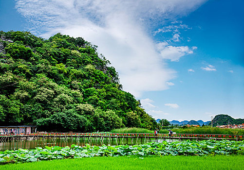 云南省文山州丘北县普者黑景区