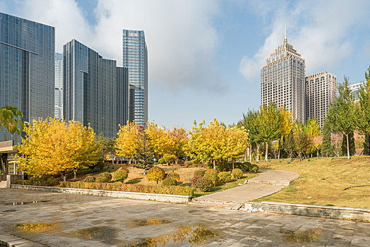 中国沈阳秋季城市建筑公园树林