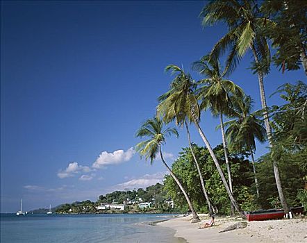 海滩,格林纳达,加勒比群岛