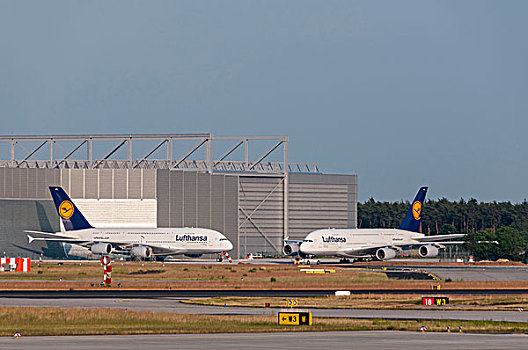 两个,汉莎航空公司,空中客车,正面,维护,飞机库,法兰克福,机场,黑森州,德国,欧洲