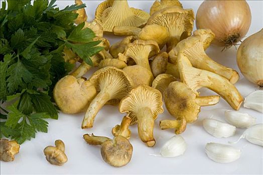金色,鸡油菌,蘑菇