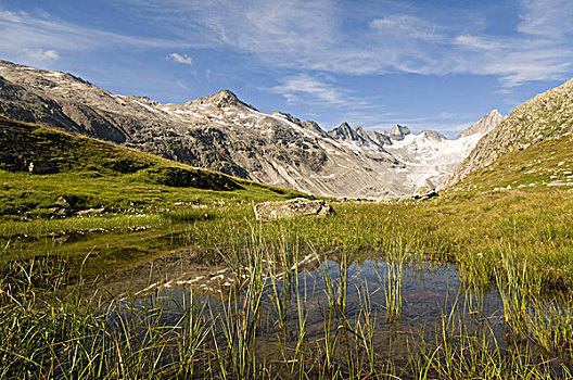 小,山,湖,背影,冰河,后面,伯尔尼州,瑞士,欧洲