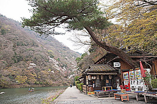 日本,咖啡,岚山,京都