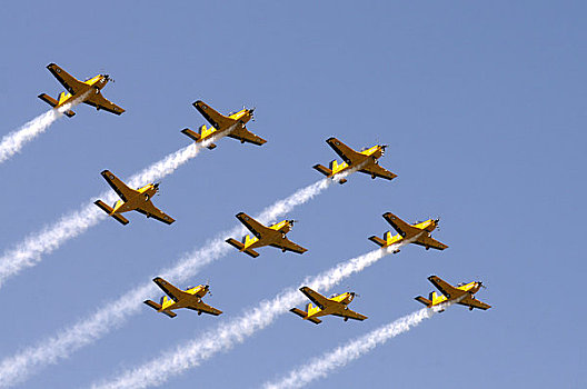 新西兰,北岛,奥克兰,红色,格子,特技飞行,团队,飞行表演,2009年