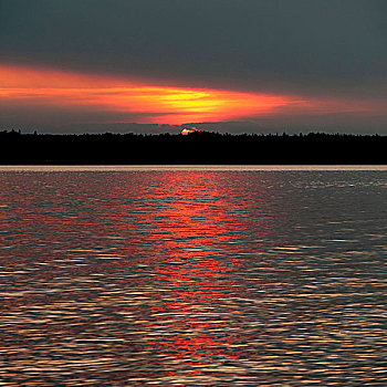 日落,上方,湖,木头,安大略省,加拿大