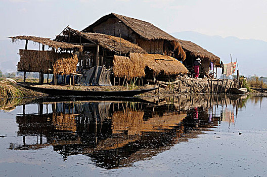 家园,运河,靠近,茵莱湖,掸邦,缅甸,东南亚
