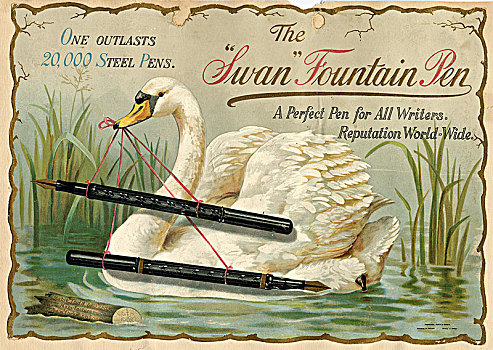 天鹅,钢笔,19世纪,艺术家,未知