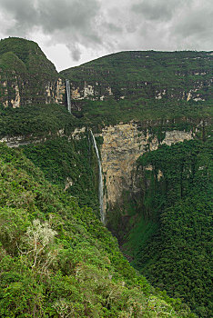 瀑布,围绕,雾林,亚马逊,秘鲁,南美