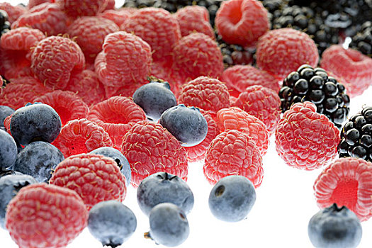 浆果,蓝莓,树莓,黑莓,序列,食物,留白,不同,种类,三个,水果,新鲜,果味,健康,营养,富含维生素,维生素,丰收
