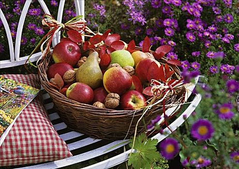 篮子,梨,苹果,胡桃,园凳
