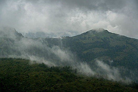 雾,上方,山,地区性,地区,岛屿,不列颠哥伦比亚省,加拿大