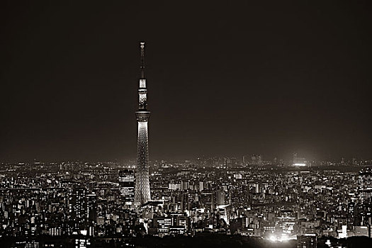 东京,城市,天际线,屋顶,夜拍,日本