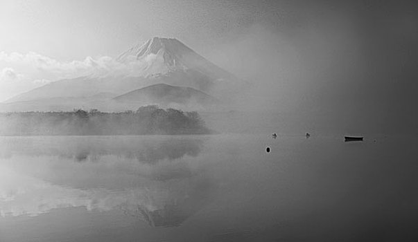 湖,富士山,雾状,天气,日本