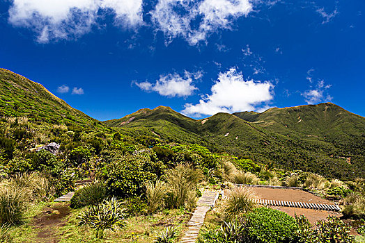 风景,小屋,顶峰,山,山脉,艾格蒙特国家公园,塔拉纳基,区域,新西兰,大洋洲