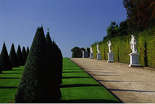 排,雕塑,树,院落,凡尔赛宫,法国