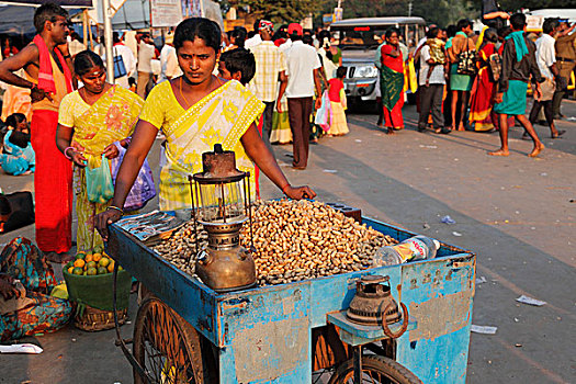 女人,销售,花生,大宝森节,节日,泰米尔纳德邦,印度南部,印度,亚洲