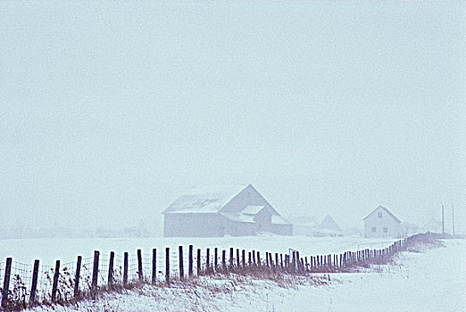 自然,冬天,暴风雪,魁北克,加拿大