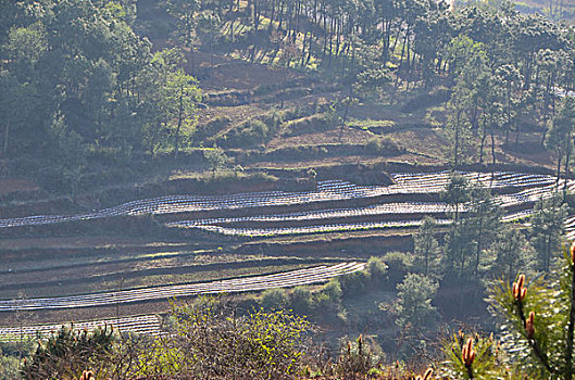 乌蒙山,风光,田园,公路,山脉,天空,高海拔,云贵高原,民居,美景,春季