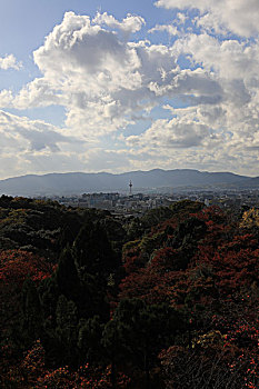 京都