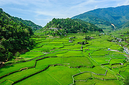 稻米梯田,世界遗产,巴纳韦,吕宋岛,菲律宾