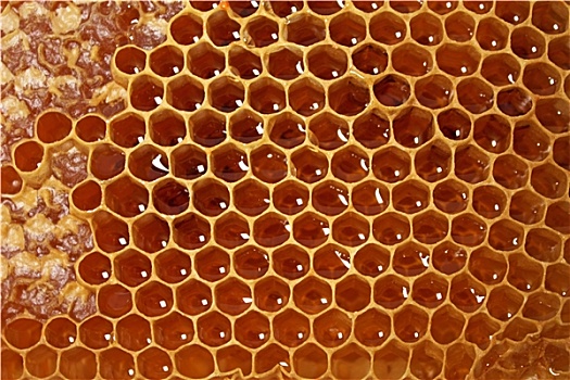 蜂窝状,蜂蜜