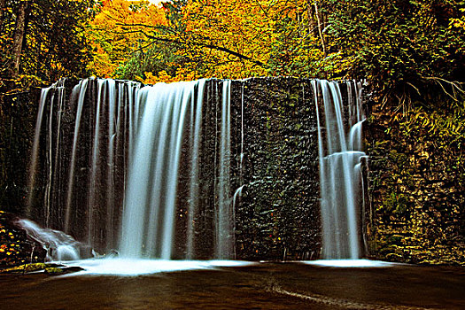 秋色,博伊奈河,瀑布,尼亚加拉,悬崖,靠近,安大略省