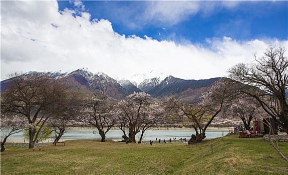 雅鲁藏布江大峡谷风光