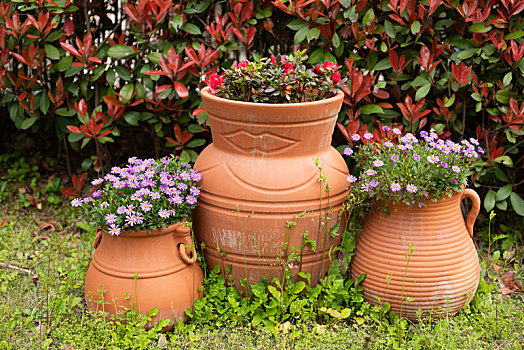花坛陶罐盆景