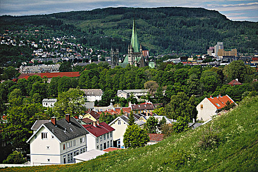 挪威,特隆赫姆,大教堂,要塞,大幅,尺寸