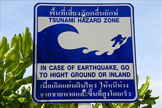 海啸,危险,签到,灌木,海滩,苏梅岛,泰国