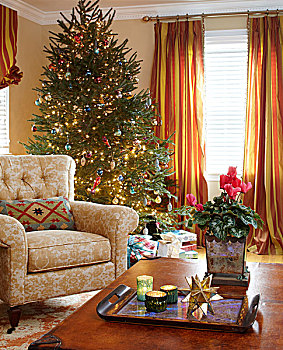 装饰,圣诞树,角,客厅,新泽西,美国