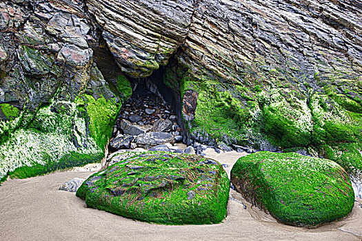 俄勒冈海岸,西部,州立公园,岩石构造,短小,沙滩