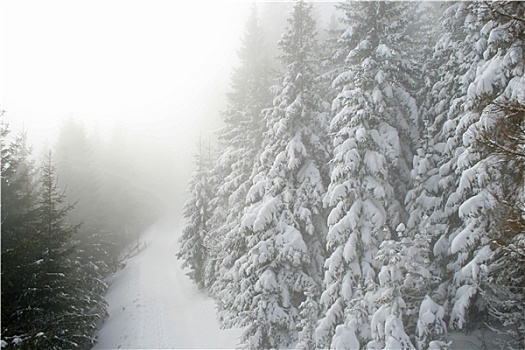 雪,山