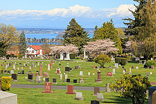 湖,风景,墓地,国会山,区域,西雅图