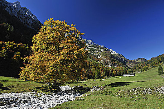 国家公园,奥地利,欧洲