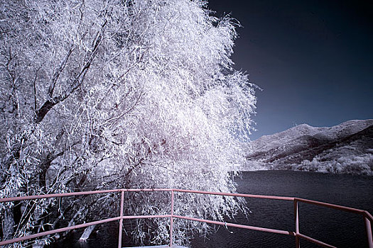 陈家沟雪景