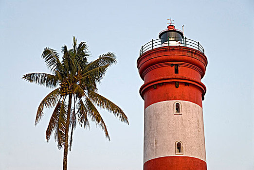 灯塔,棕榈树,喀拉拉,印度,亚洲