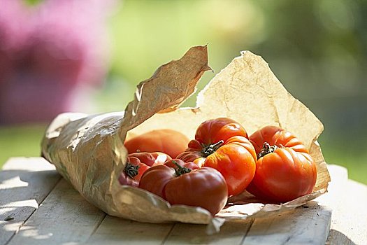 西红柿,品种,纸袋