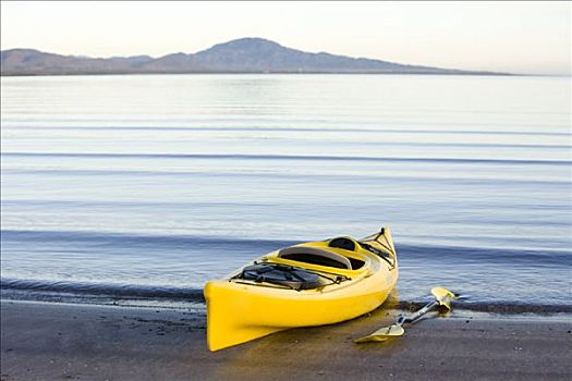 皮筏艇,海滩,科特兹海,北下加利福尼亚州,墨西哥