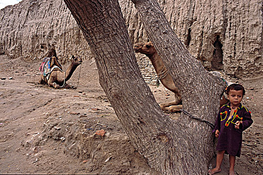 孩子,站立,靠近,骆驼,拖拉,运输,商品,人,荒芜,乡村,边缘,塔尔沙漠,信德省,省,巴基斯坦,四月,2005年