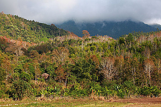 五指山风光