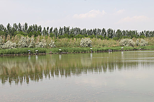 鸣翠湖