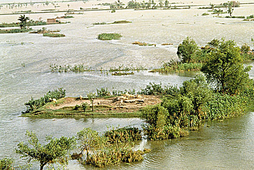 航拍,区域,柱子,气旋,洪水,孟加拉,一个,热带,纪录,击打,地区