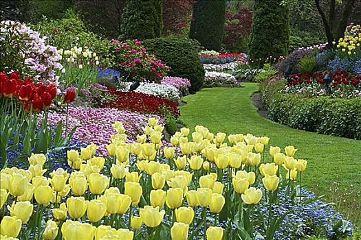 花,宝翠花园,维多利亚,不列颠哥伦比亚省,加拿大